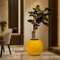 Bonsái Colgante en Jarrón Globo Amarillo Azafrán para decoración de interiores | Vareluma
