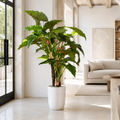 Alocasia Red Prince en Macetero Ben XL Blanco Lacado para decoración de interiores | Vareluma