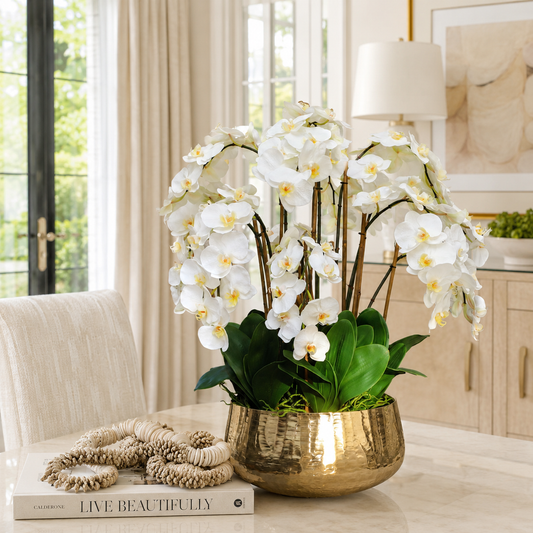 Orquídeas Phalaenopsis en Macetero Dorado | Vareluma