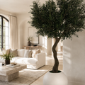 Olivo en Jarrón Globo Beige Mate para decoración de interiores | Vareluma
