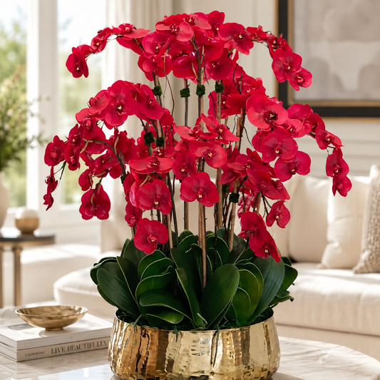Orquídeas Phalaenopsis Rojas en Macetero Dorado Mediano | Vareluma